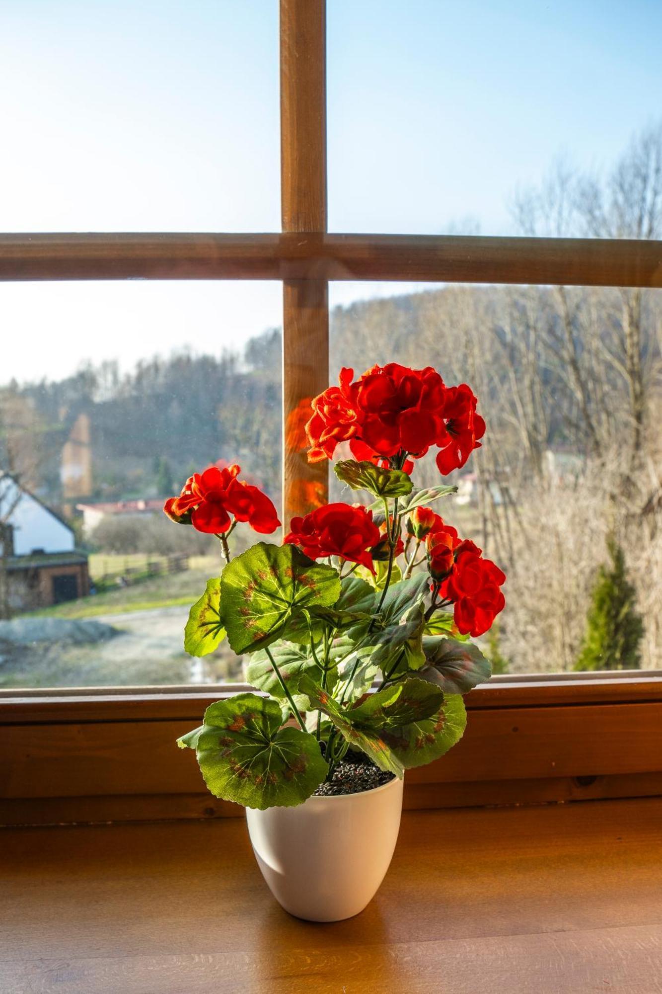 Jaworowa Osada Villa Brenna Kültér fotó