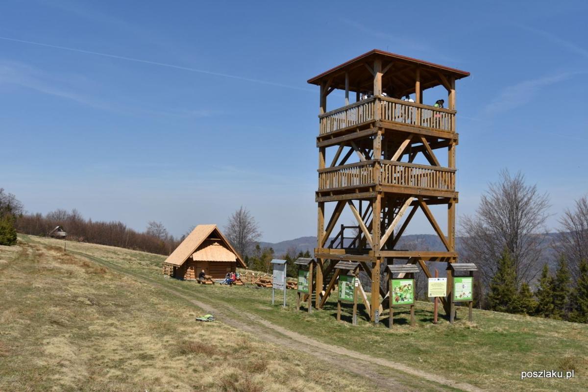 Jaworowa Osada Villa Brenna Kültér fotó